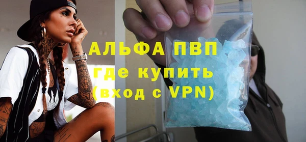 гашик Алексин