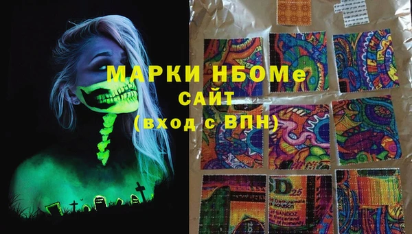 гашик Алексин