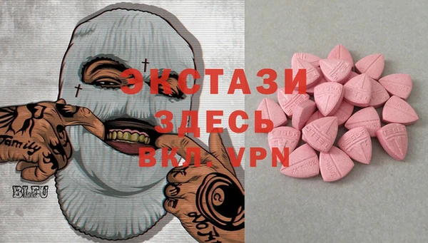 гашик Алексин