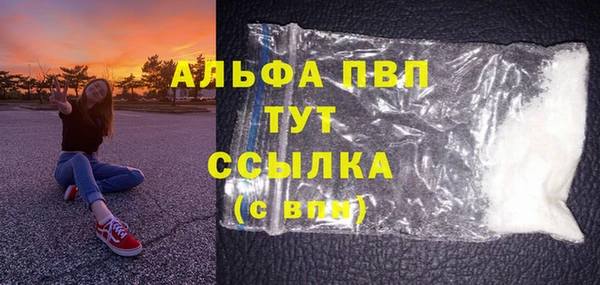 гашик Алексин