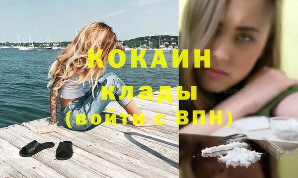 гашик Алексин