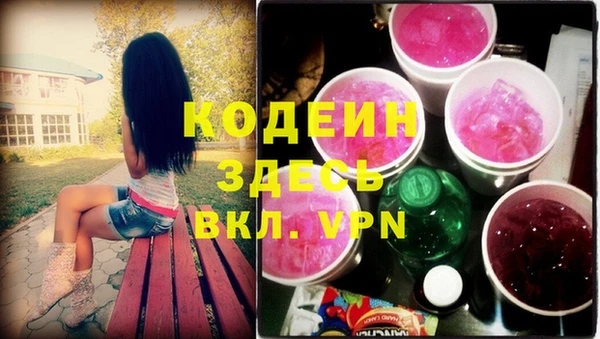 гашик Алексин