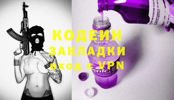 гашик Алексин