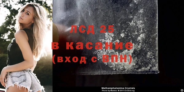гашик Алексин