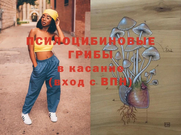 гашик Алексин